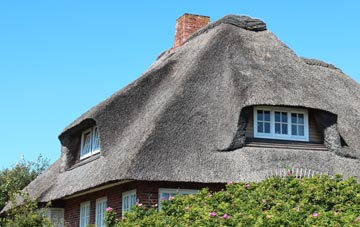thatch roofing Furzedown
